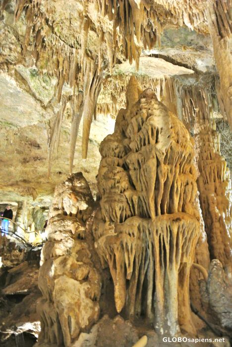 Postcard Monaco - Grotte de l'Observatoire