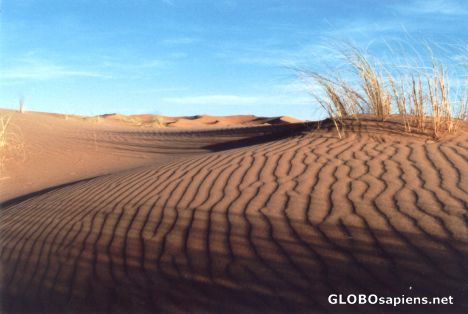 Postcard Erg Chebbi - Desert Impression I