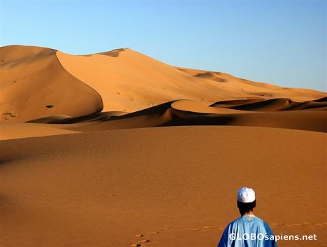 Sand Dunes of Erg Chebbi