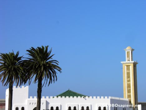 Postcard port de Tanger