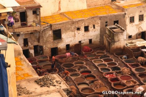 Postcard The tanneries