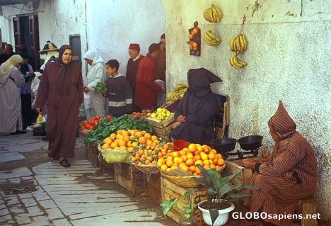 Postcard Orange sellers