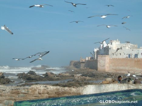 Postcard Sea Fort in Essaouira