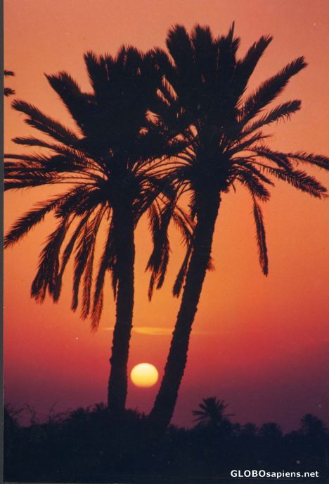Postcard Sunset