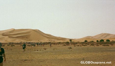 Postcard Moroccan Sahara -- Erg Chebbi -- one of the highes