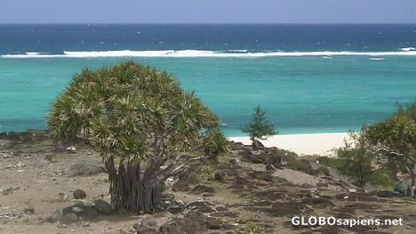 Postcard The beauty of Rodrigues Island