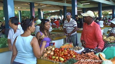 Postcard Port Mathurin Market