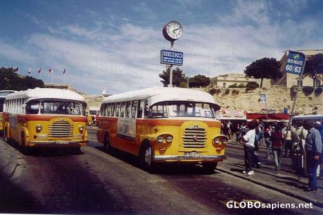 Postcard Maltese Bus 2