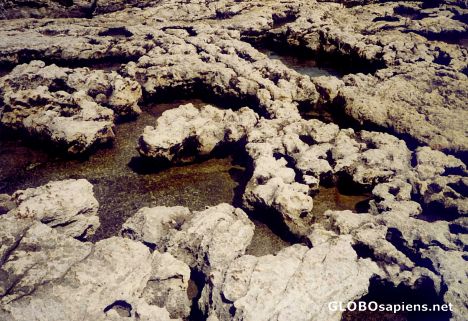 Postcard Gozo Rock Texture