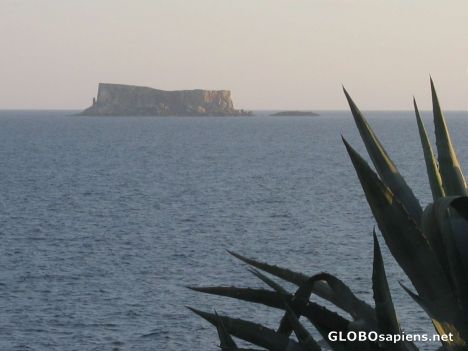 Postcard View of Filfla island