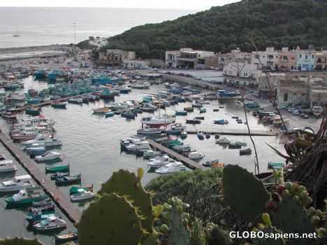 Postcard Mgarr Harbour on Gozo