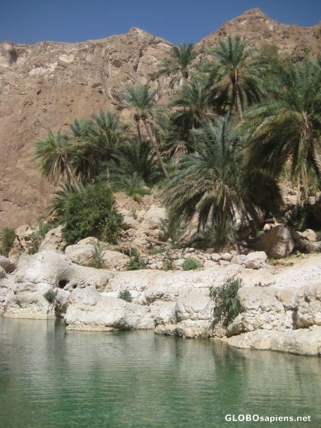 Postcard Wadi Shab