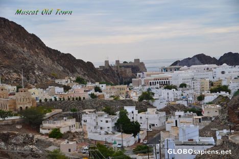 Postcard Muscat Old Town