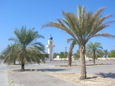 Postcard Mosque between palms