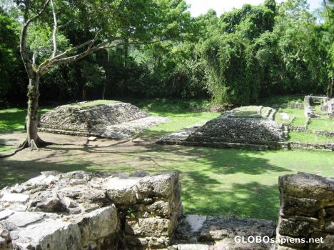 Postcard Mayan Ballcourt at Yaxchilan