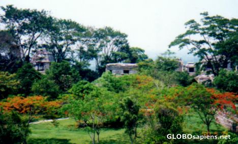 Postcard Palenque