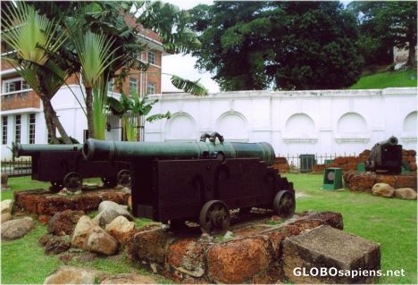 Postcard The Cannons of The Afamosa