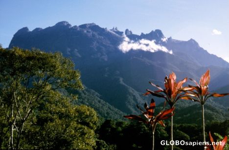 Postcard Mt. Kinabalu