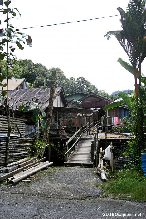 Postcard Arrival at the Annah Rais Bidayuh Tribal Longhouse