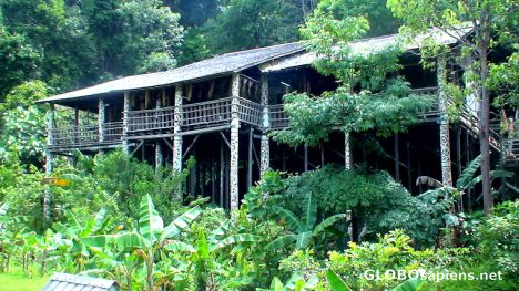 Postcard Traditional Borneo houses