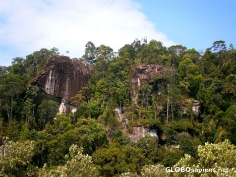 Postcard Mountain jungle of Bako NP