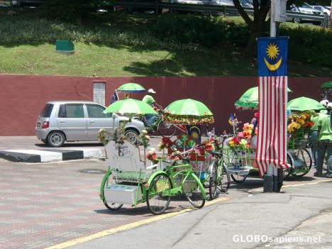 Postcard Decorated Trishaws for National Day Parade