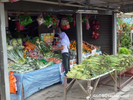 Postcard Vendors arranging their vegetables