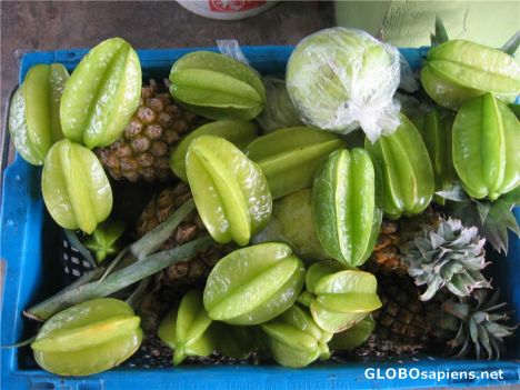 Postcard Typical Fruits of Penang