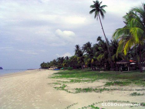 Postcard View along Pantai Cenang