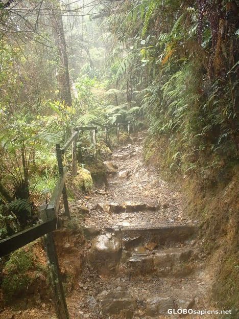 Postcard Mount Kinabalu Trail