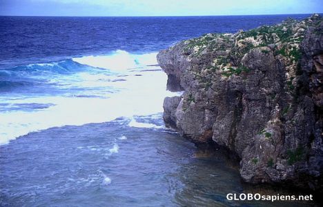 Rocky coast of Niue