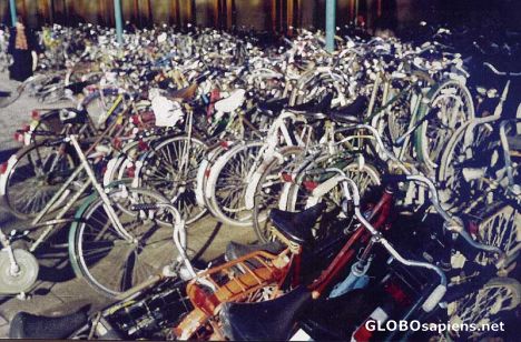 Postcard Muddle of Bicycles