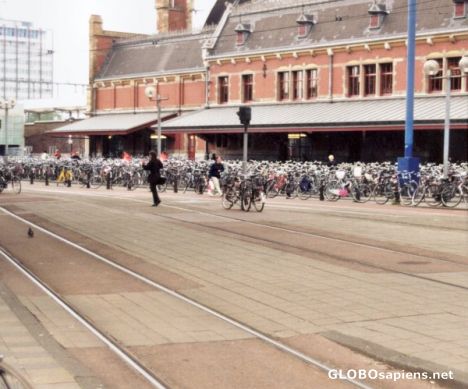 Postcard 'I've lost my bike. Have you seen one anywhere?'