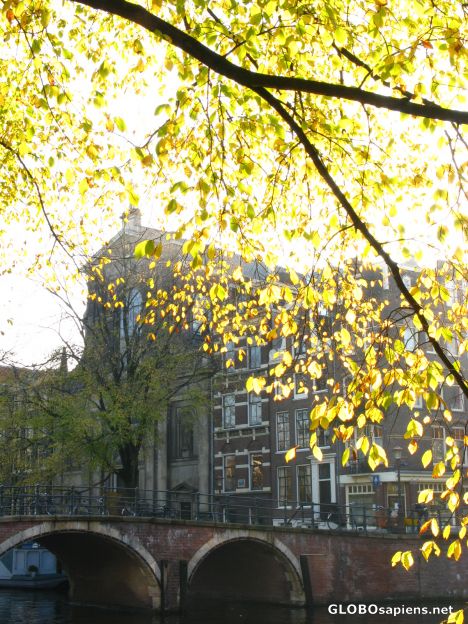 Postcard an autumn morning in Amsterdam