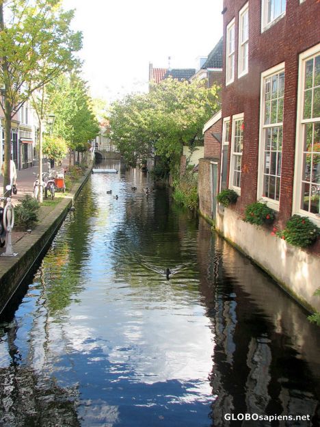 Postcard Canal Fronting the Vermeer Center