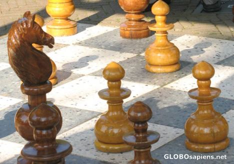 Postcard huge chess