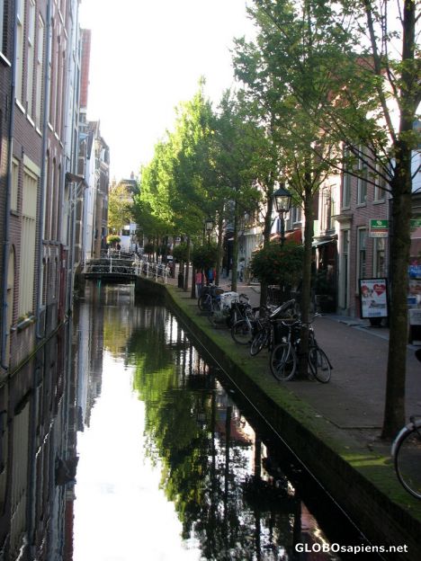 Postcard Scenic Delft Canal