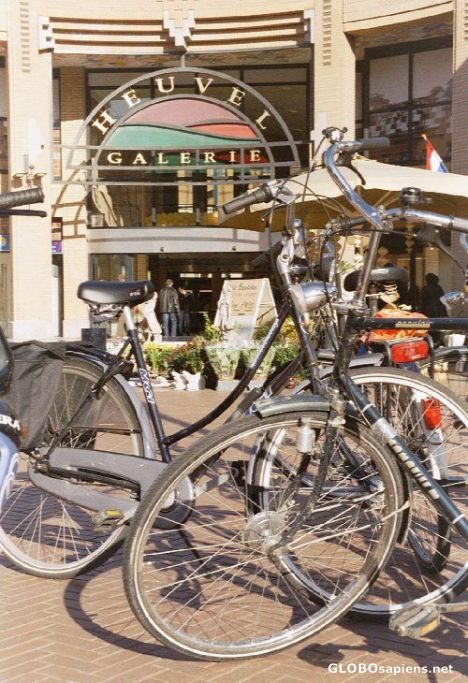 Postcard Bicycles everywhere