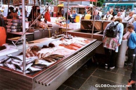 Postcard Harbour fish market