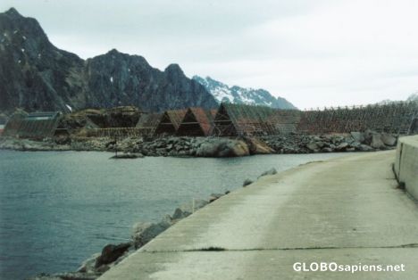 Postcard Svinøya 5