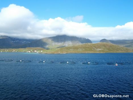 Postcard Lofot Islands 4