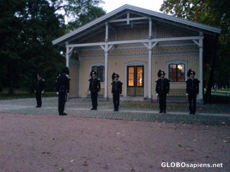 Postcard Royal Palace; Guardhouse while changing guards