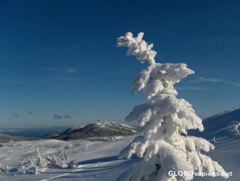 Postcard Norwegian winter excursion