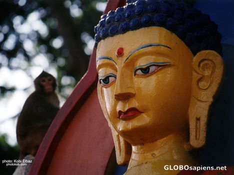 Postcard Buddha statue- Swayambhunath