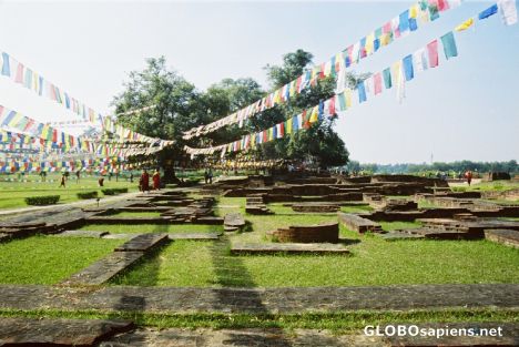 Postcard Birthplace of Buddha