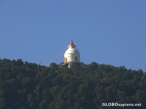 Postcard World Peace Pagoda