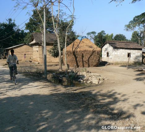 Postcard Village of Chitwan