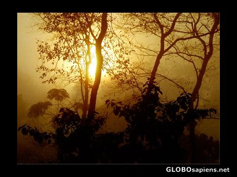 Postcard Sunrise, Chitwan National Park