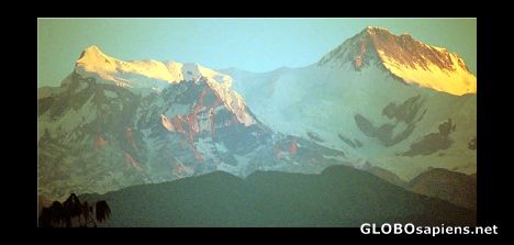 Postcard Morning light washes over Annapurna I