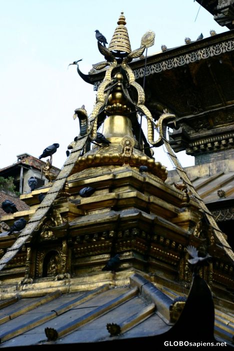 Postcard Golden Temple